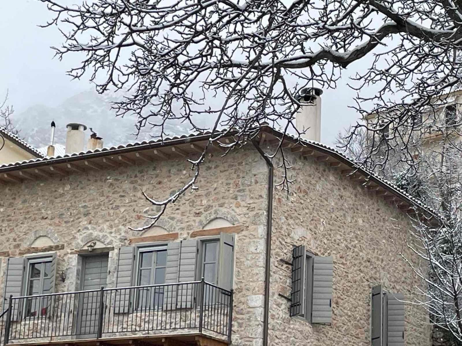 αρχοντικό 19ου αιώνα Apartment Arachova